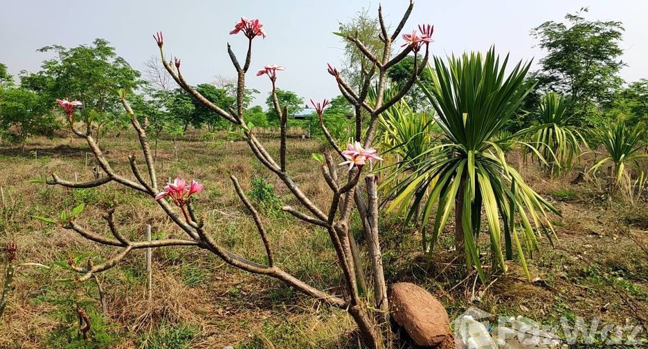 For sale land in Phu Wiang, Khon Kaen