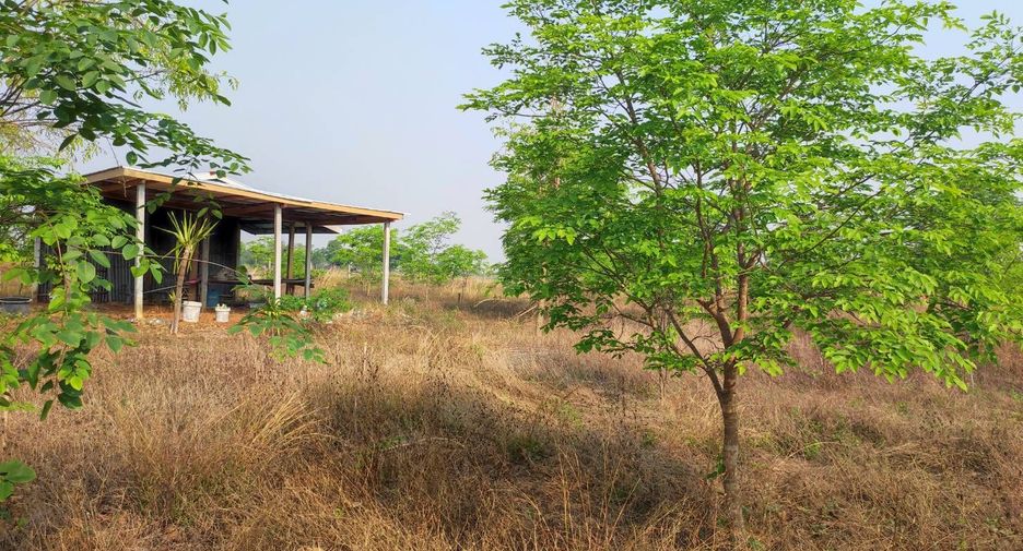 For sale land in Phu Wiang, Khon Kaen