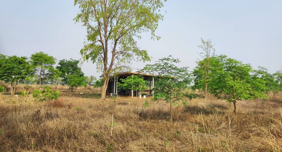 For sale land in Phu Wiang, Khon Kaen