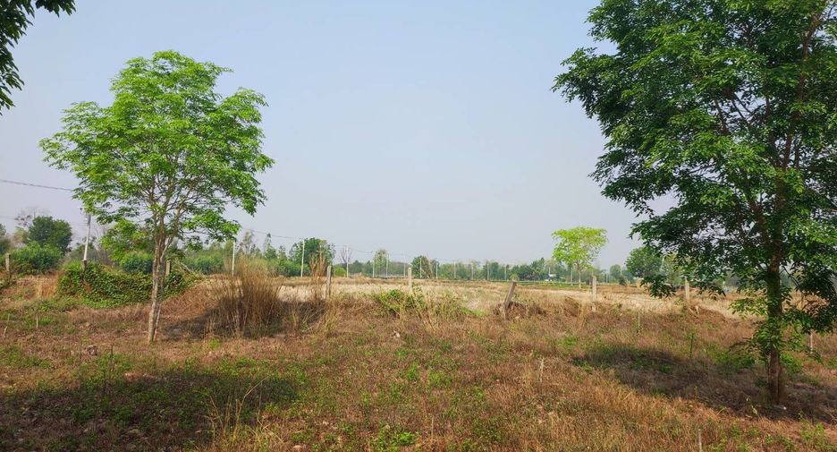 For sale land in Phu Wiang, Khon Kaen