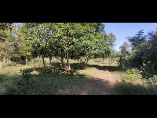 For sale land in Mueang Nong Khai, Nong Khai