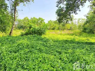 ขาย ที่ดิน ใน ถลาง, ภูเก็ต