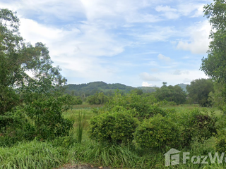 ขาย ที่ดิน ใน ถลาง, ภูเก็ต