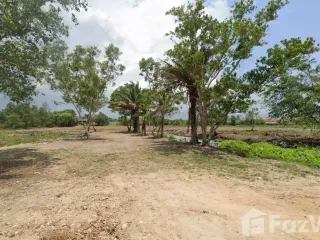 ขาย ที่ดิน ใน ถลาง, ภูเก็ต