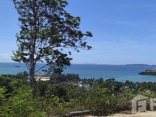 For sale land in Mueang Phuket, Phuket