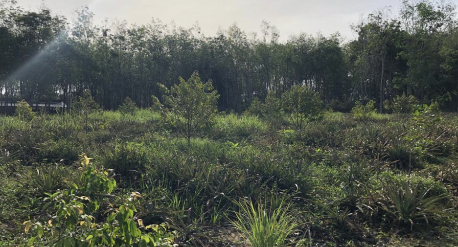 For sale land in Thalang, Phuket