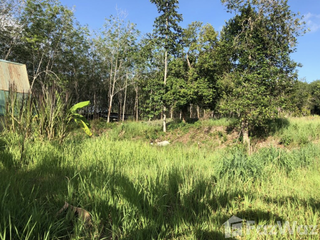 For sale land in Thalang, Phuket