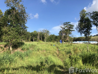 For sale land in Thalang, Phuket