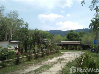For sale land in Thalang, Phuket