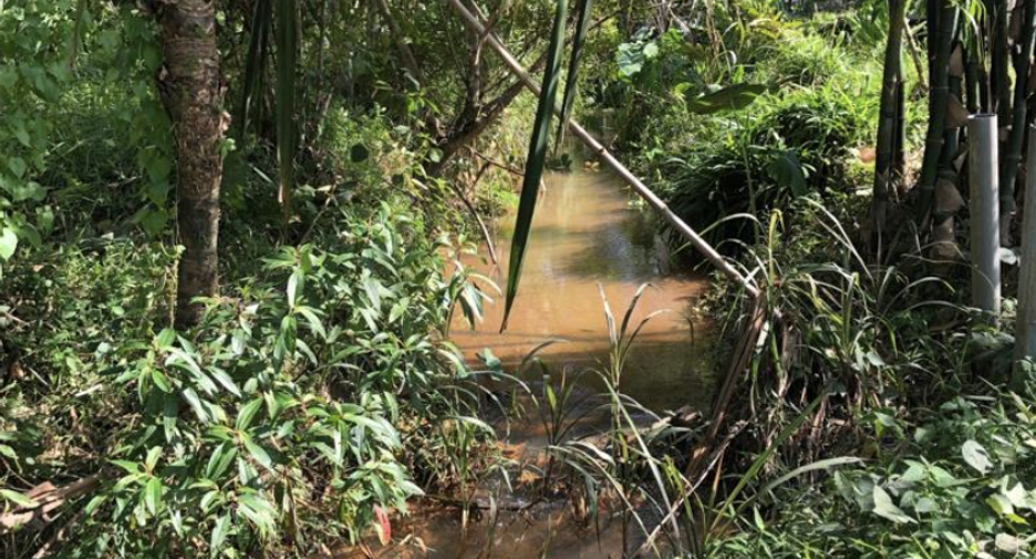 For sale land in Thalang, Phuket
