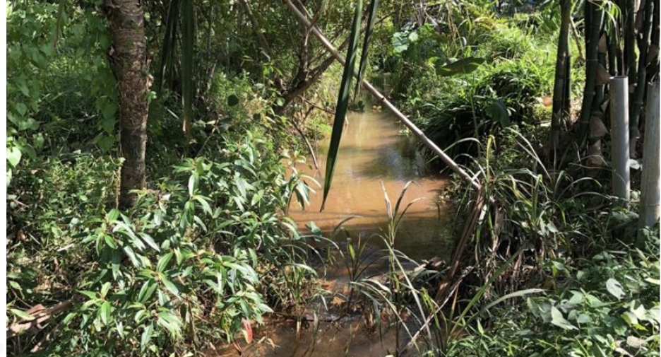 For sale land in Thalang, Phuket