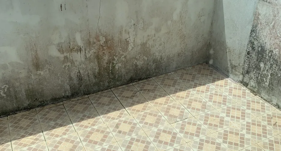 For sale 5 bedrooms townhouse in Mueang Surat Thani, Surat Thani