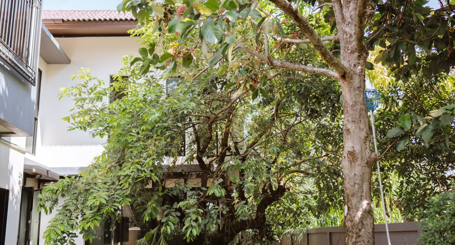 For sale 3 bedrooms house in Mueang Chiang Rai, Chiang Rai