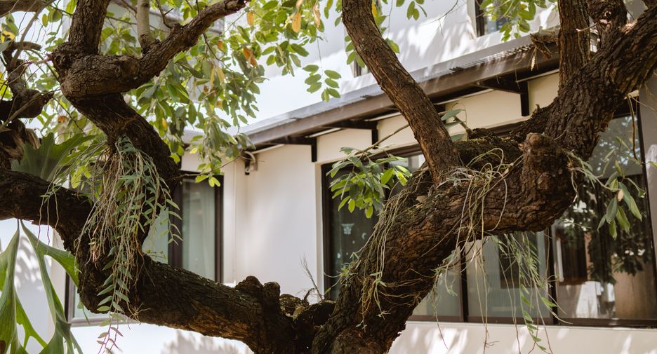For sale 3 bedrooms house in Mueang Chiang Rai, Chiang Rai