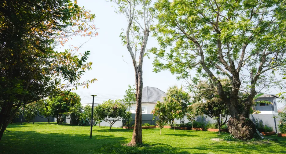 For sale 3 bedrooms house in Mueang Chiang Rai, Chiang Rai