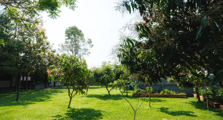 For sale 3 bedrooms house in Mueang Chiang Rai, Chiang Rai