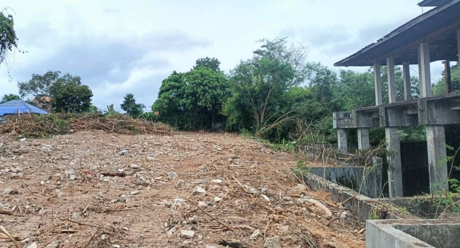 For sale land in Mueang Phuket, Phuket