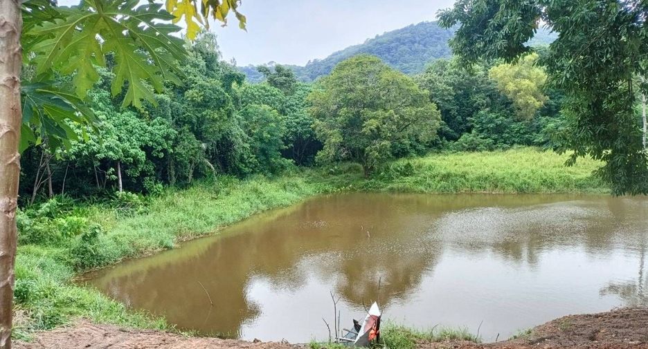 For sale land in Mueang Phuket, Phuket