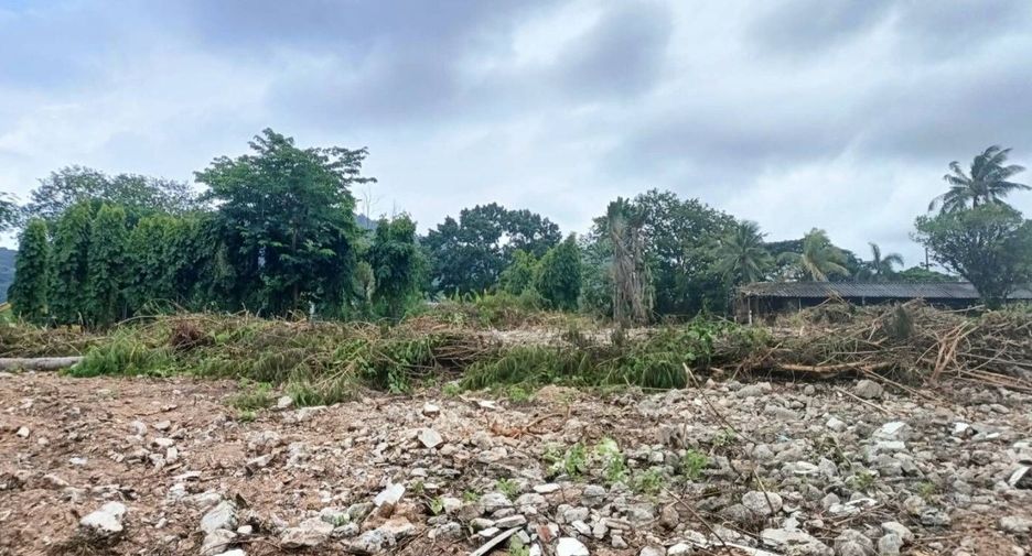 For sale land in Mueang Phuket, Phuket