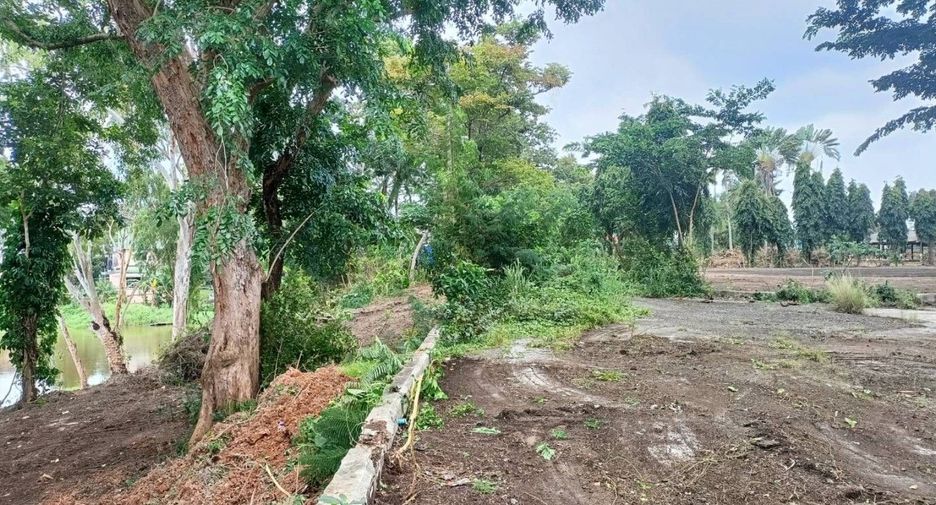For sale land in Mueang Phuket, Phuket