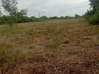 For sale land in Bang Pakong, Chachoengsao