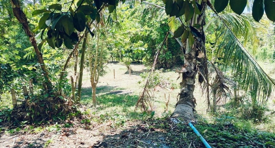 For sale 4 bedrooms house in Mueang Yala, Yala