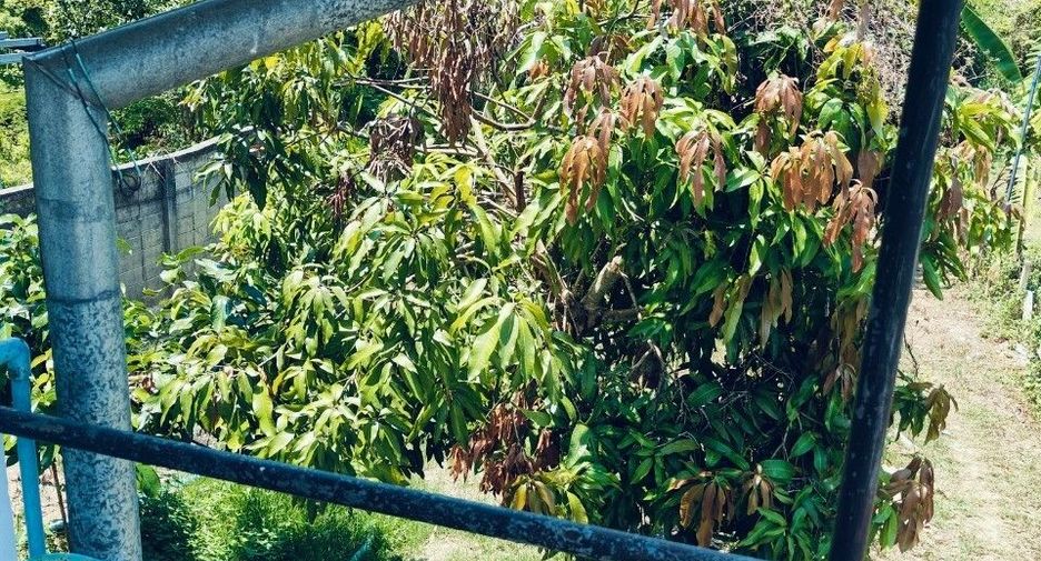 For sale 4 bedrooms house in Mueang Yala, Yala