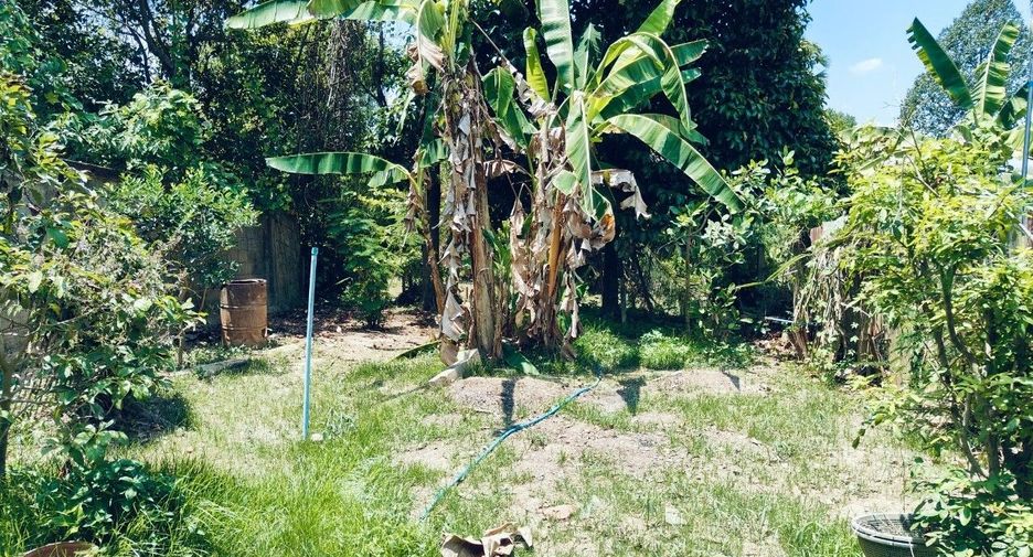For sale 4 bedrooms house in Mueang Yala, Yala