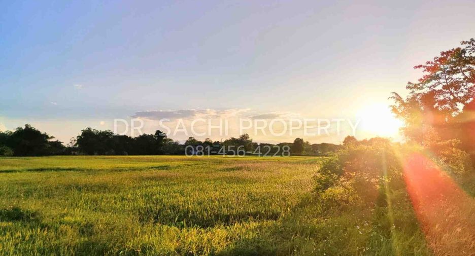 Grundstück zum Kauf in Mueang Chiang Rai, Chiang Rai