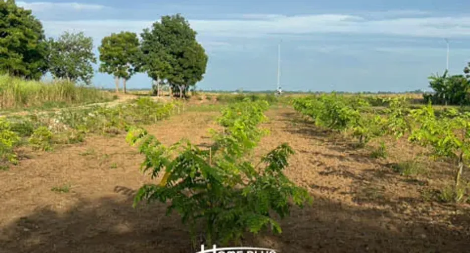 For sale land in Mueang Lop Buri, Lopburi