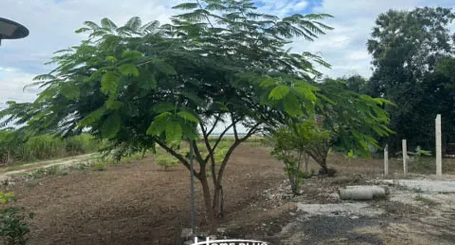 For sale land in Mueang Lop Buri, Lopburi