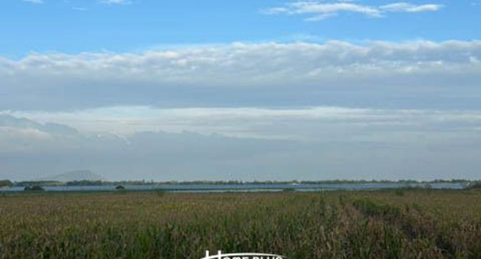 For sale land in Mueang Lop Buri, Lopburi