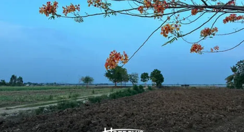 For sale land in Mueang Lop Buri, Lopburi