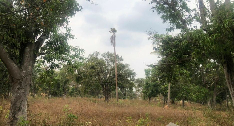 For sale land in Mueang Amnat Charoen, Amnat Charoen