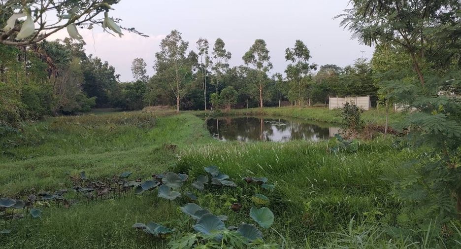 For sale land in Phon Thong, Roi Et