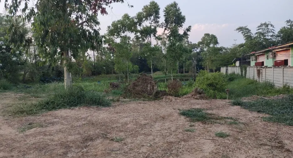 For sale land in Phon Thong, Roi Et