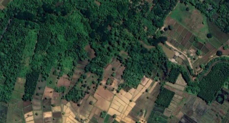 For sale land in Phon Sawan, Nakhon Phanom