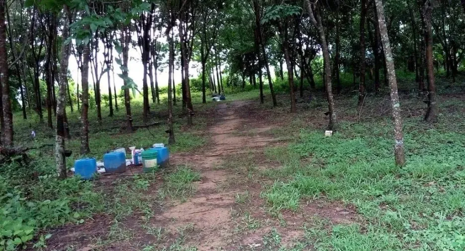 For sale land in Mueang Nakhon Phanom, Nakhon Phanom