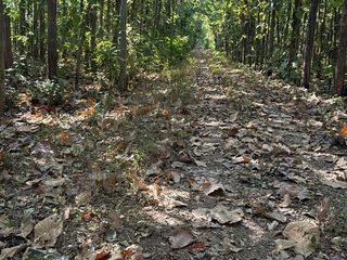 Продажа Участок в Si Thep, Phetchabun