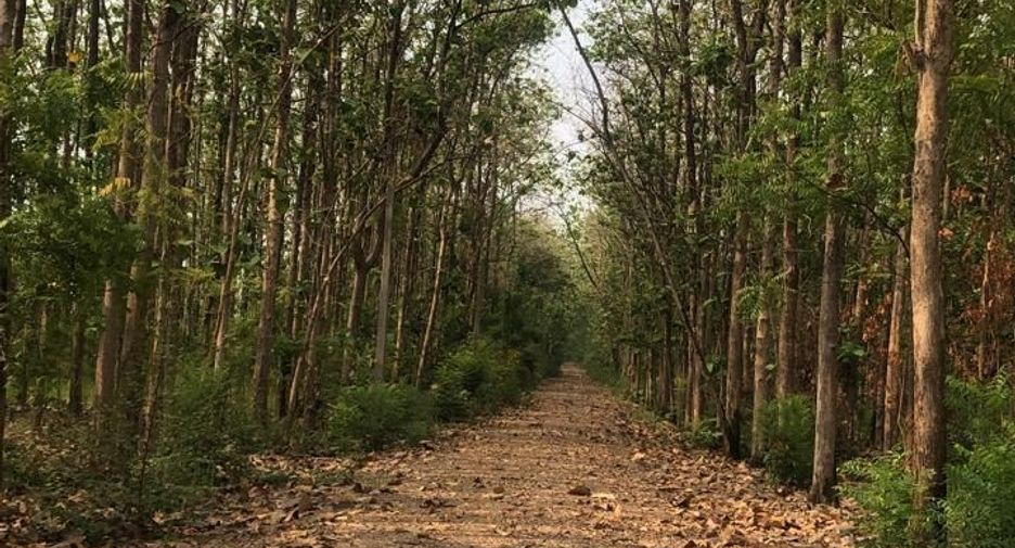 For sale land in Si Thep, Phetchabun
