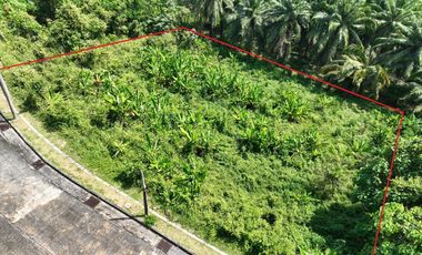 For sale land in Thalang, Phuket