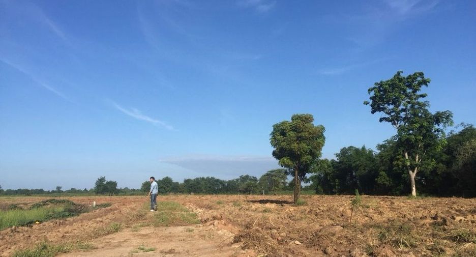For sale land in Manorom, Chainat
