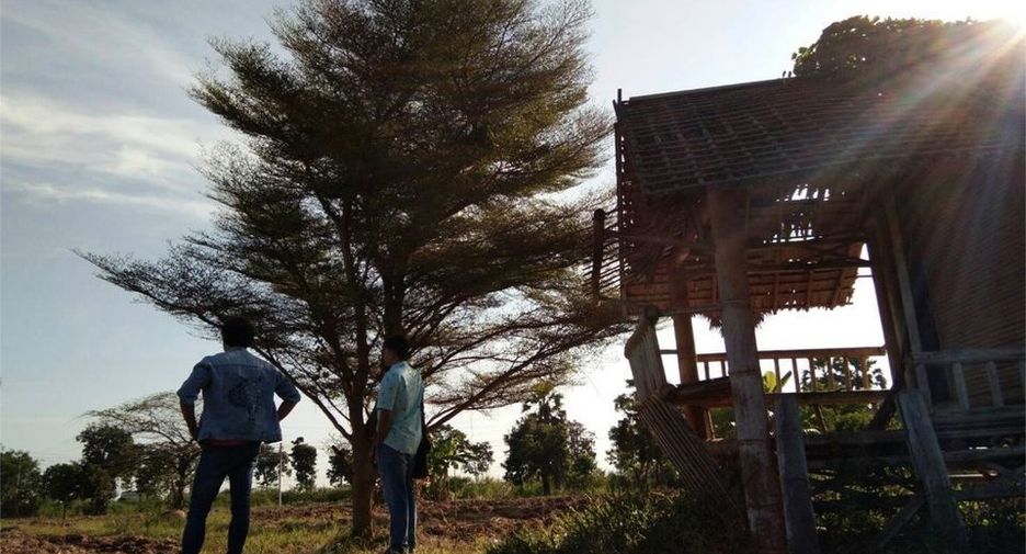 For sale land in Manorom, Chainat