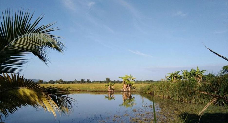 For sale land in Manorom, Chainat
