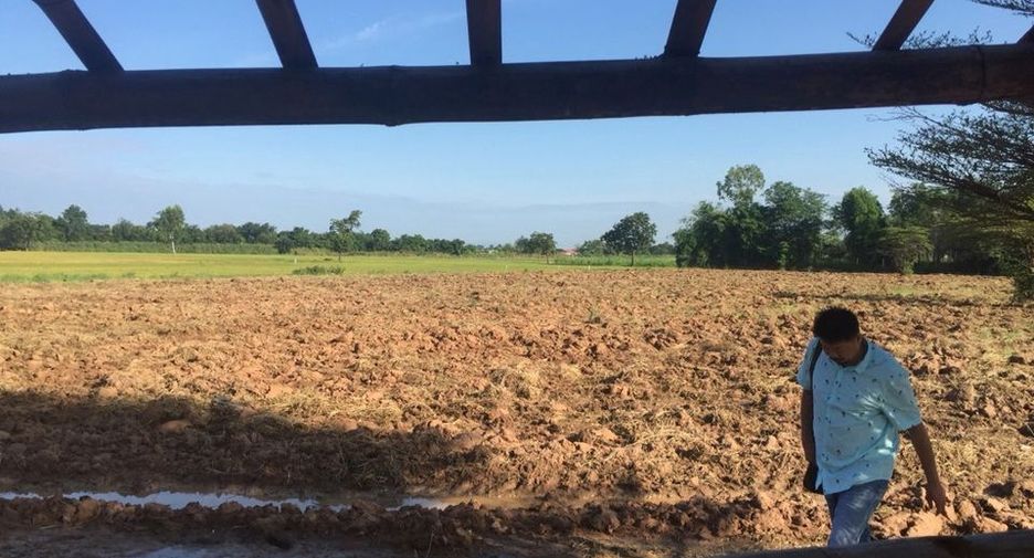 For sale land in Manorom, Chainat