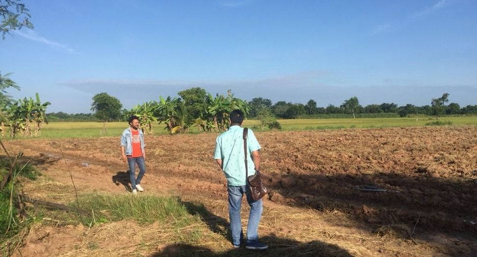 For sale land in Manorom, Chainat
