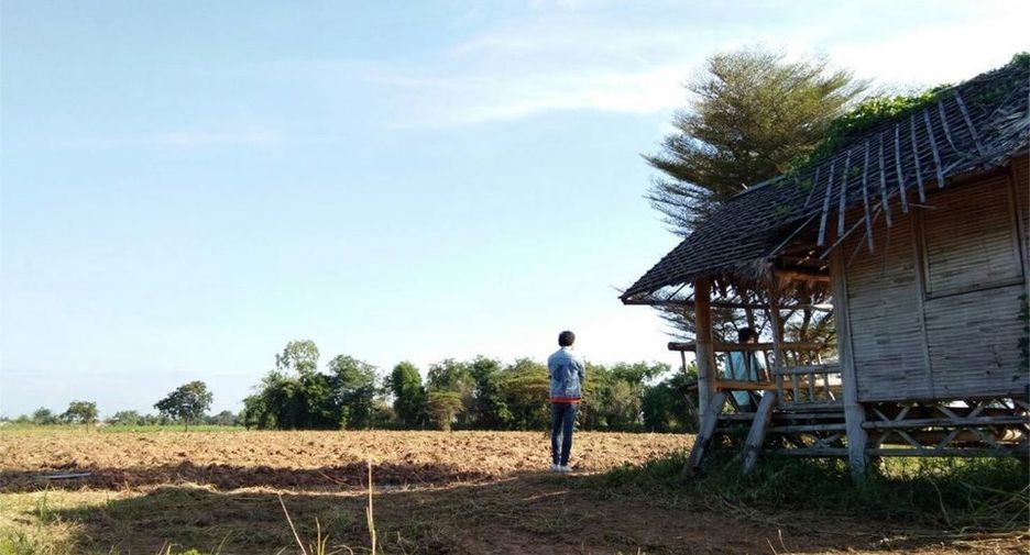 For sale land in Manorom, Chainat