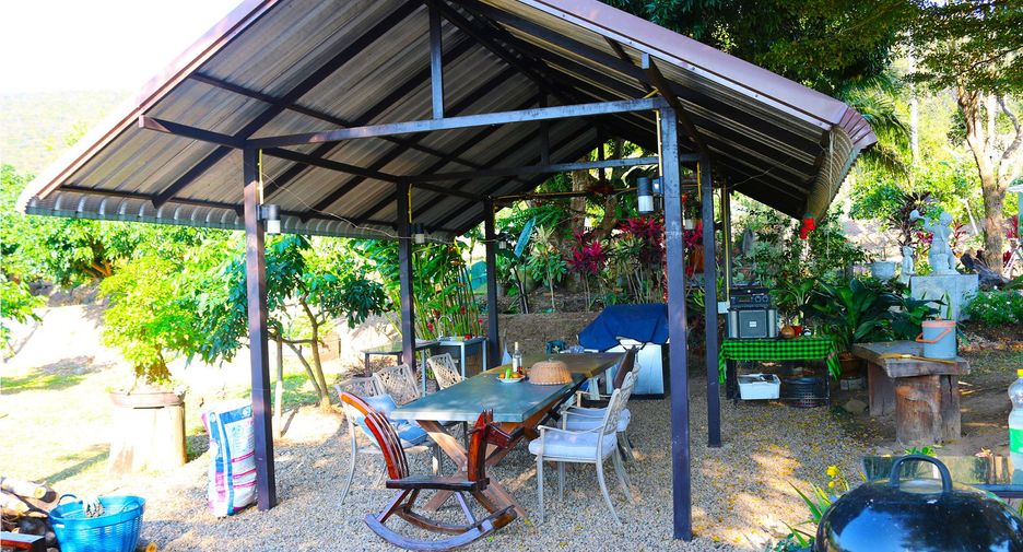 ขาย ที่ดิน ใน เชียงดาว, เชียงใหม่