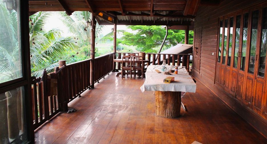 ขาย ที่ดิน ใน เชียงดาว, เชียงใหม่