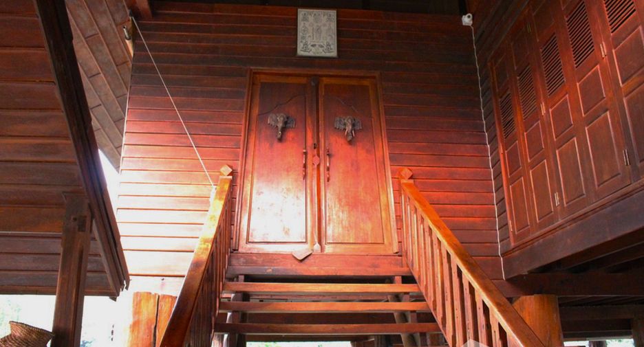 ขาย ที่ดิน ใน เชียงดาว, เชียงใหม่